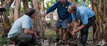 Dr Richard Markham (ACIAR), Patrick Leahy and Tony Pattison (QDAF) inspect banana plants in Queensland.