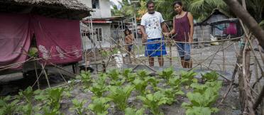 Kirribati traditional food growers