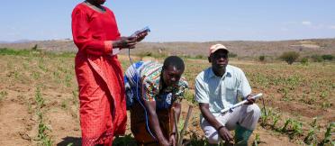 Farmers connecting the Chameleon Reader Kiwere to the three underground sensors, Irrigation Scheme farmers, in Iringa District. Credit: Stanley Awaki