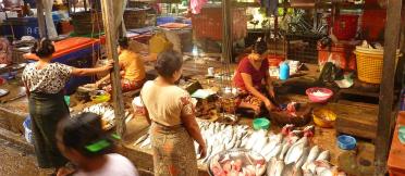 Myanmar fish market
