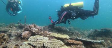 Scuba divers with coral