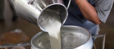 Pouring milk into a bowl