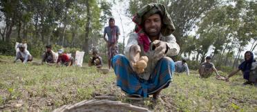 Farmer in Bangladesh 