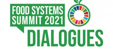 Food System summit logo