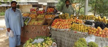 Men at a fruit stall Pakistan