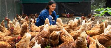 female farmer with chickens 