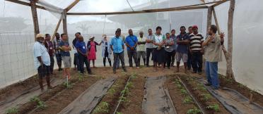 An ACIAR-led project is supporting local pacific farmers with a protected cropping system that enables them to produce off-seasonal vegetables.