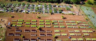 Aerial view of the University of Science and Technology of Southern Philippines’ PANDEMIC Farm, the community gardening project site of ARSF awardee and John Dillon Fellowship alumnus Dr Nelda Gonzaga. 
