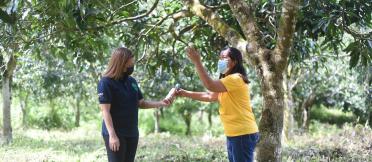 Two people standing in field at a Mango farm 