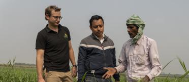 3 men in a crop field talking