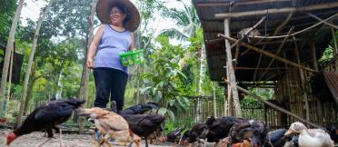 Farmer with chickens in the Philippines 