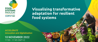 Visualising transformative adaptation for resilient food systems event