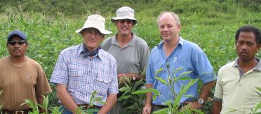 5 men standing amongst green crops