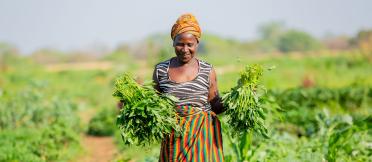 Woman carrying vegetables in field