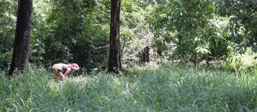 A farmer tending to a crop in the forest.