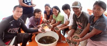 A group of people on a boat holding sea cucumbers, with a bowl of sea cucumbers in the foreground.