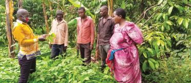 group of people in colourful clothing standing talking amongst crops