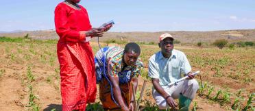 Image: Kiwere Irrigation Scheme farmers in Iringa District connecting the Chameleon Reader to the three underground sensors. Credit: Stanley Awaki