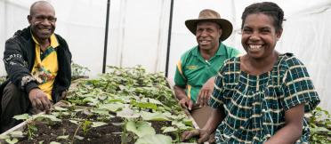 Two men and a woman inside a white screenhouse with a bed of small sweetpotato plants