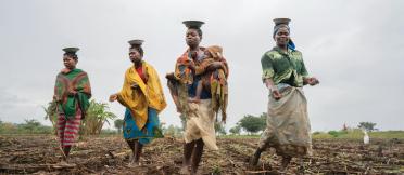 Smallholder farmers in Mozambique participating in the ACIAR-funded SIMLESA program, which helped more than 480,000 farmers across eastern and Southern Africa increase food production and boost farmer livelihoods.  