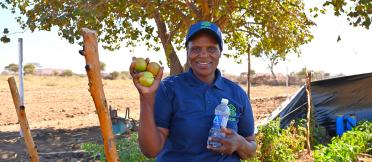 Woman holding tomatoes
