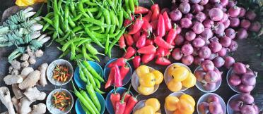 A collection of colourful vegetables displayed on a table