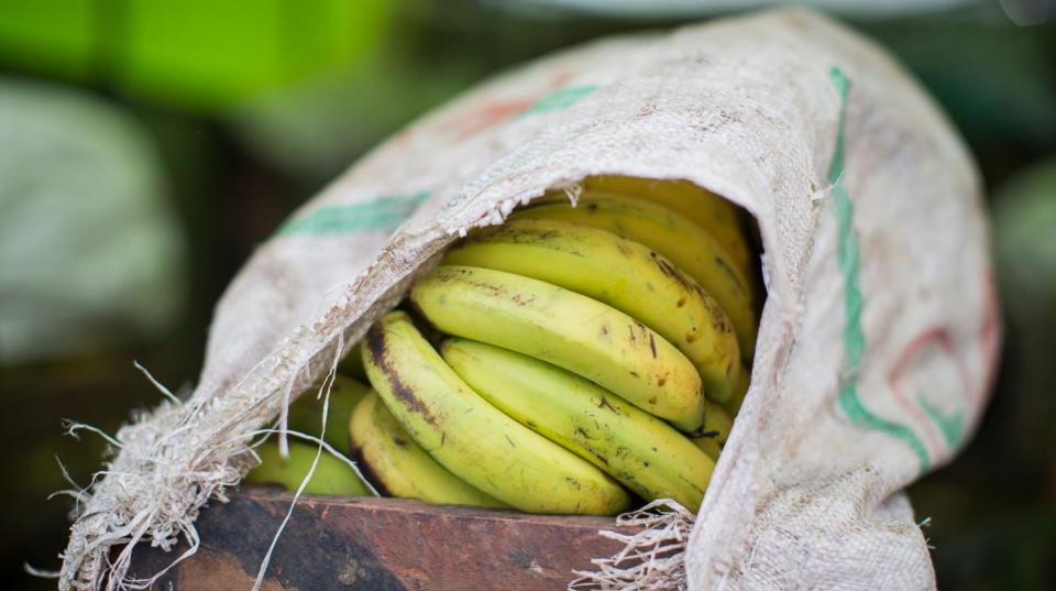 Bananas in South-East Asia