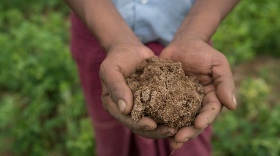 Soil in Myanmar