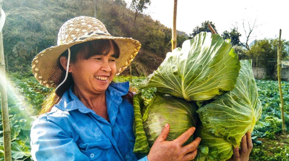 Vietnamese farmer