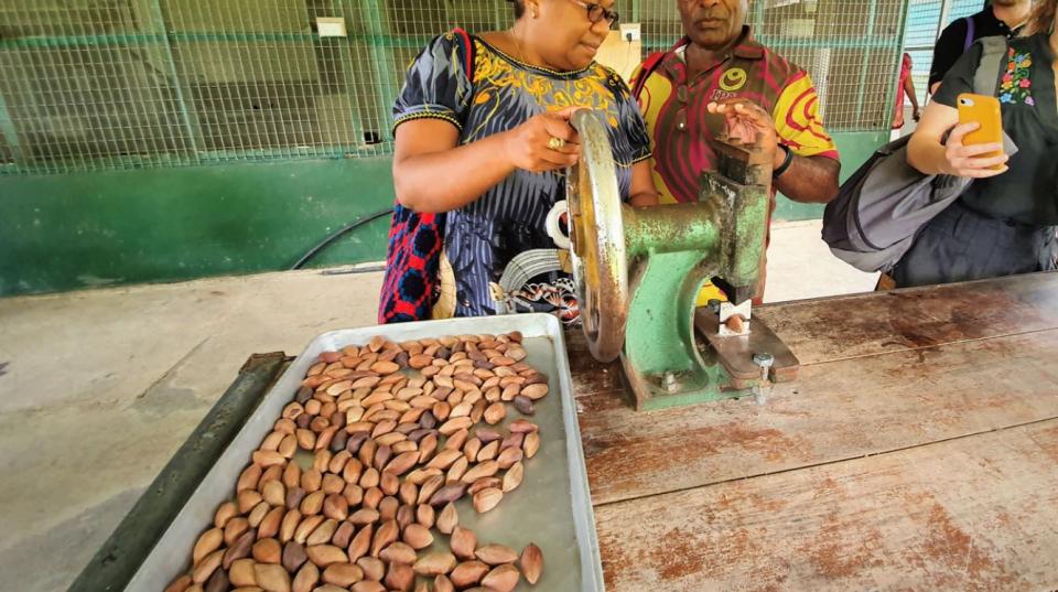 Papua New Guinea nuts