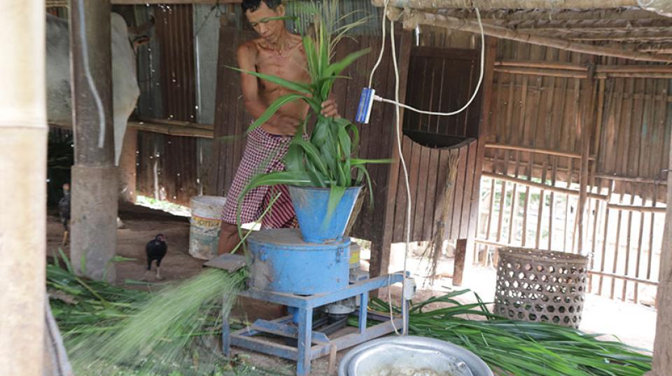 Forages Cambodia