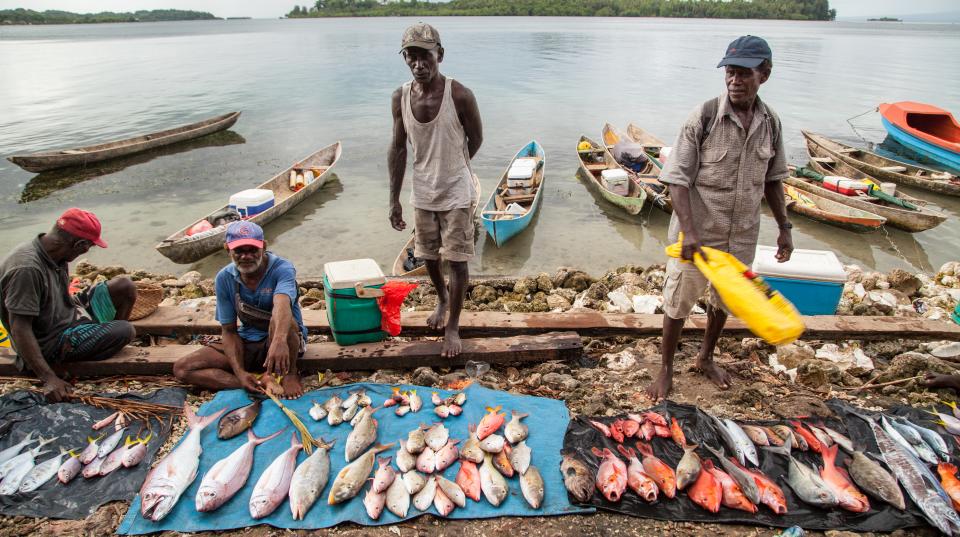 Reef fish for sale at Gizo market, Western Province, Solomon Islands. Photo by Filip Milovac / WorldFish 