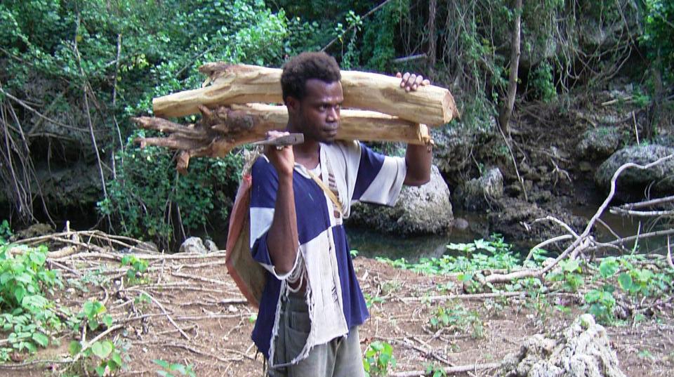 Sandalwood harvester