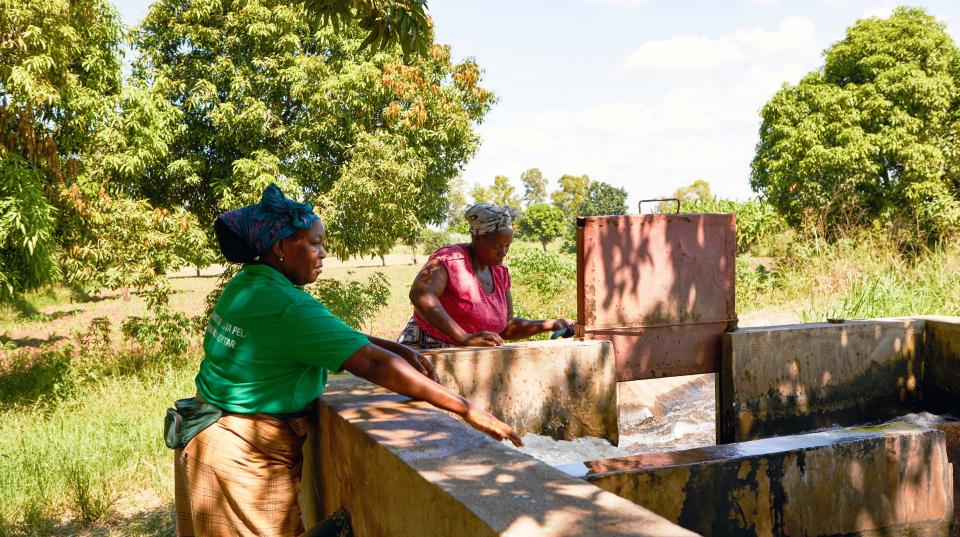 irrigation mozambique