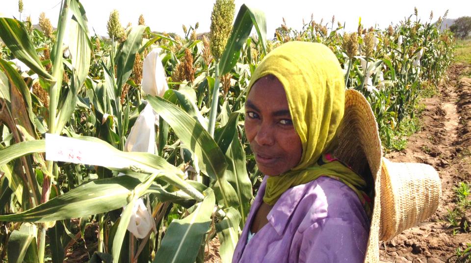 farmer in ethiopia 