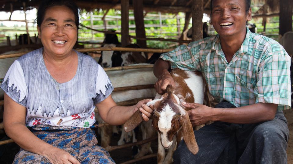 Goat farmers in Myanmar 