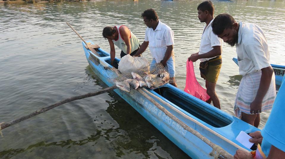 Men with a canoe and net filled with fish