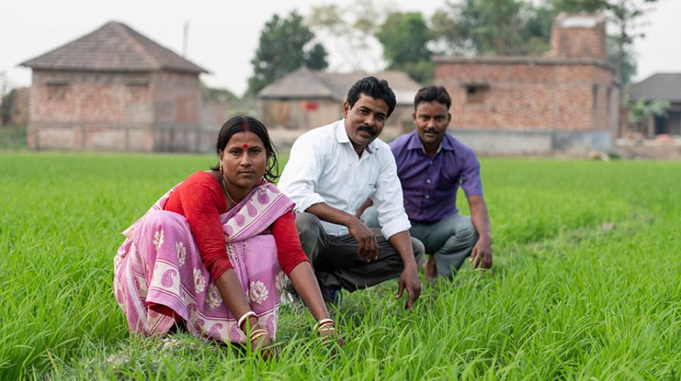 People in a field of crops West Bengal