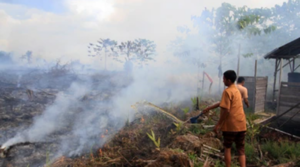 Peat fire Indonesia