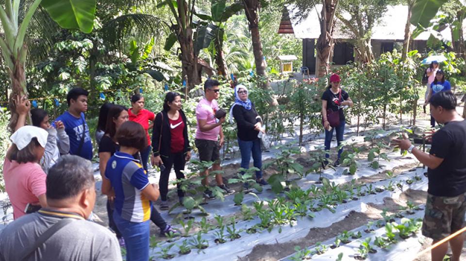 A group of people looking at a planting of small trees