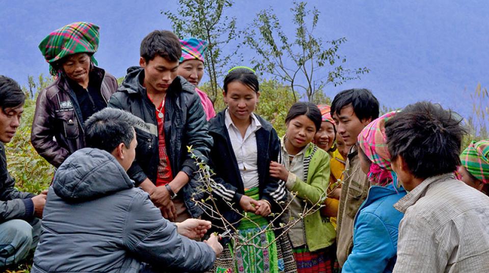 Group of people looking at a small tree