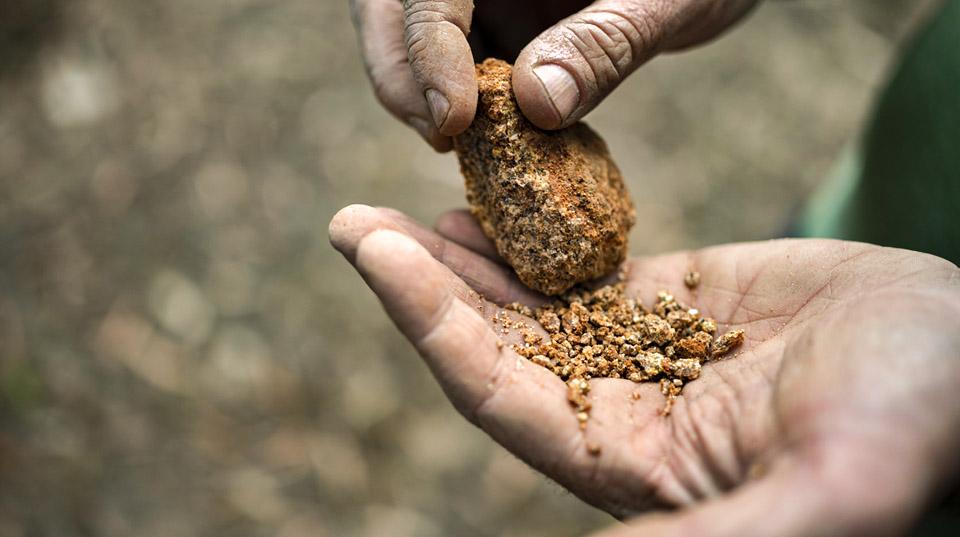 hands holding dirt