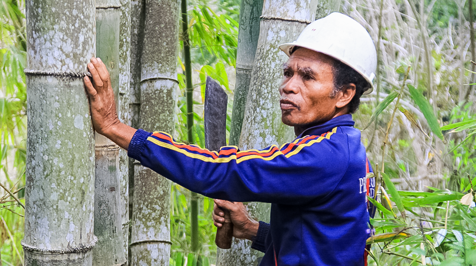 a man wearing a white helmet, holding a large knife, leans on tall bamboo trees