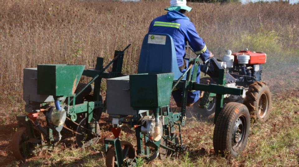 Testing of a prototype planter in the experimental farm of the University of Zimbabwe. Image: Frédéric Baudron