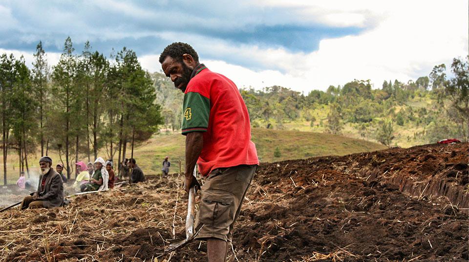Papua New Guinea, man working on soil
