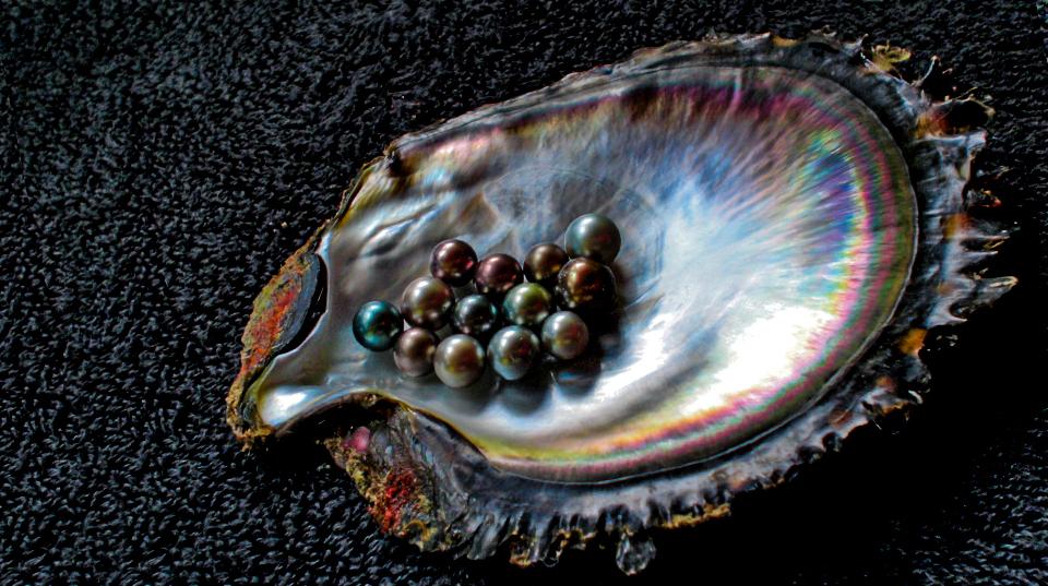 Pearls inside a shell, Pacific