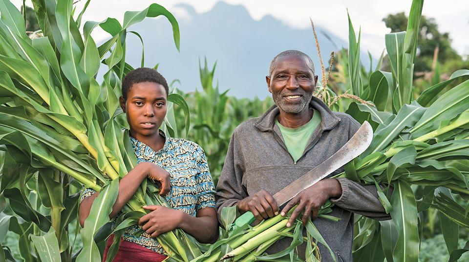 young woman and elderly man in a crop field in Kenya