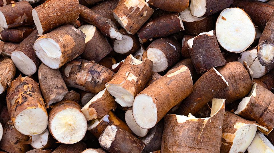 A close-up of cut pieces of Cassava