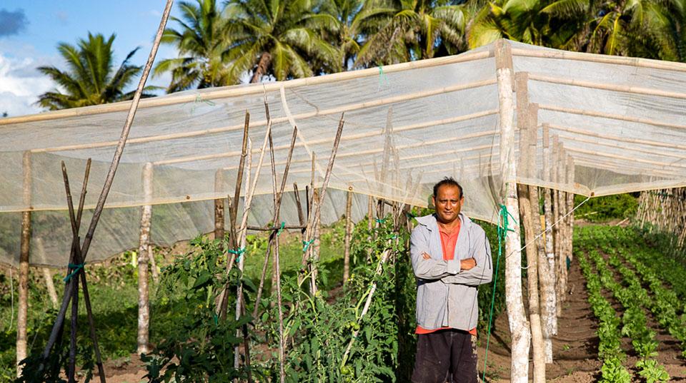A man posing for a photo in front of a vegetable garden outdoors in Kiribati