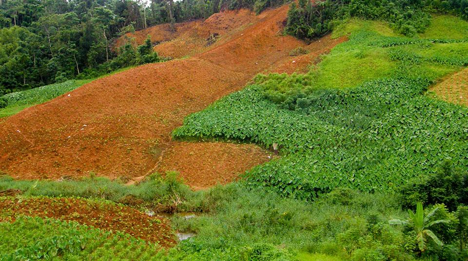 Uneven terrain in Fiji showing a vegetables plantation in the distance